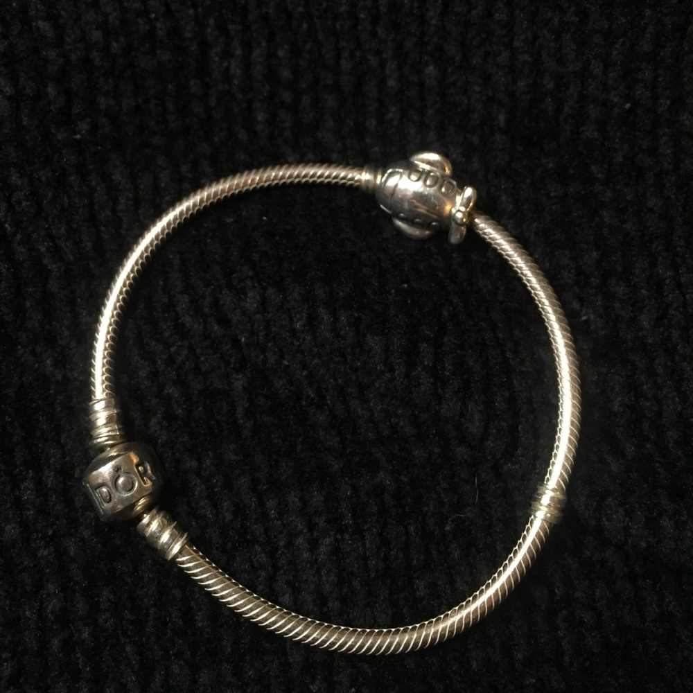 Pandora “ICONIC SILVER CHARM BRACELET”